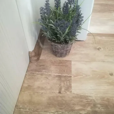 Batoevi Apartmán Sozopol